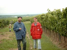 In den Weinbergen