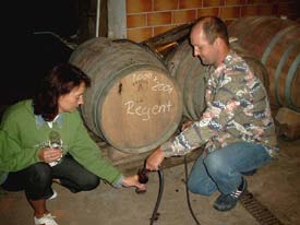 Weinprobe direkt vom Fass