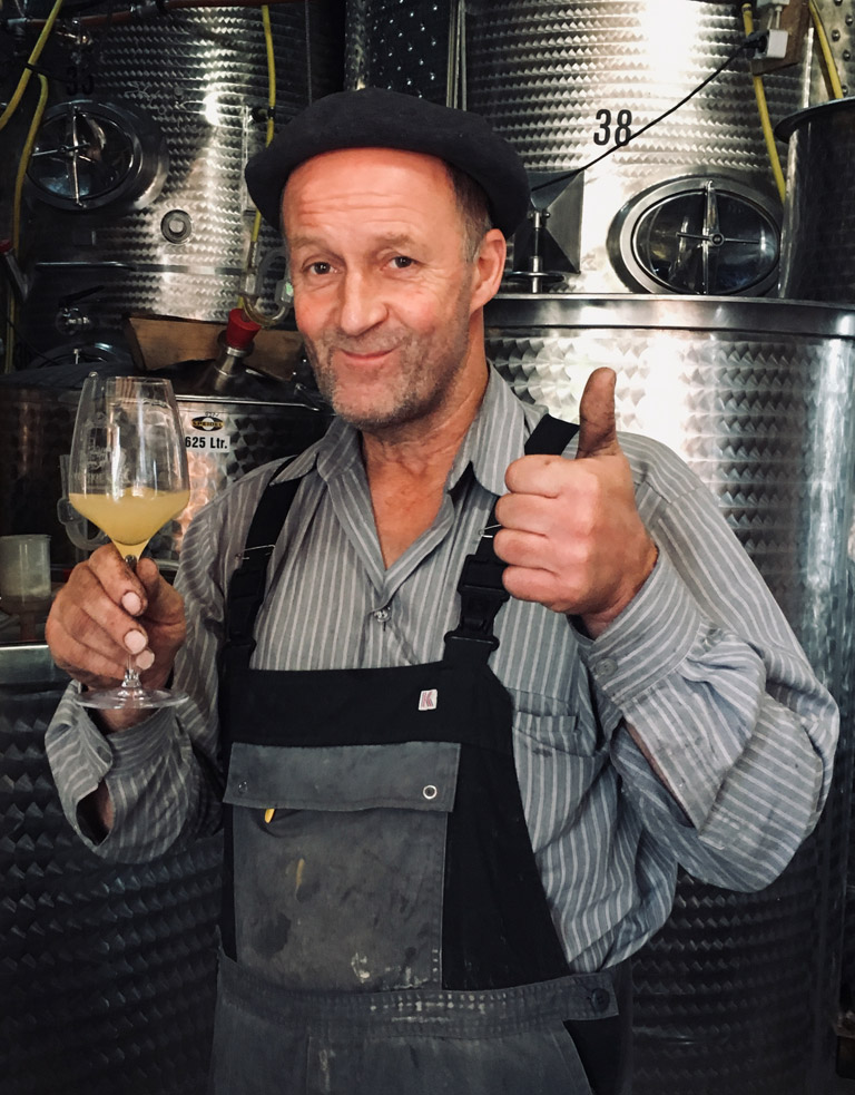 Von der Rebe zum Wein