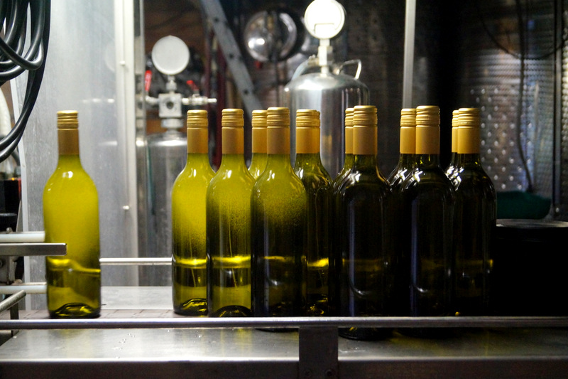 Von der Rebe zum Wein