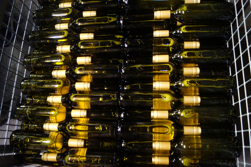 Von der Rebe zum Wein