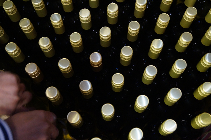 Von der Rebe zum Wein